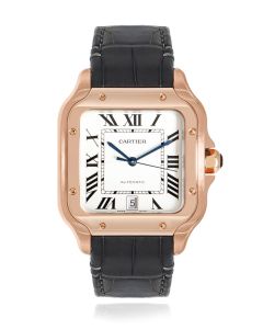 Cartier Santos De Cartier WGSA0019